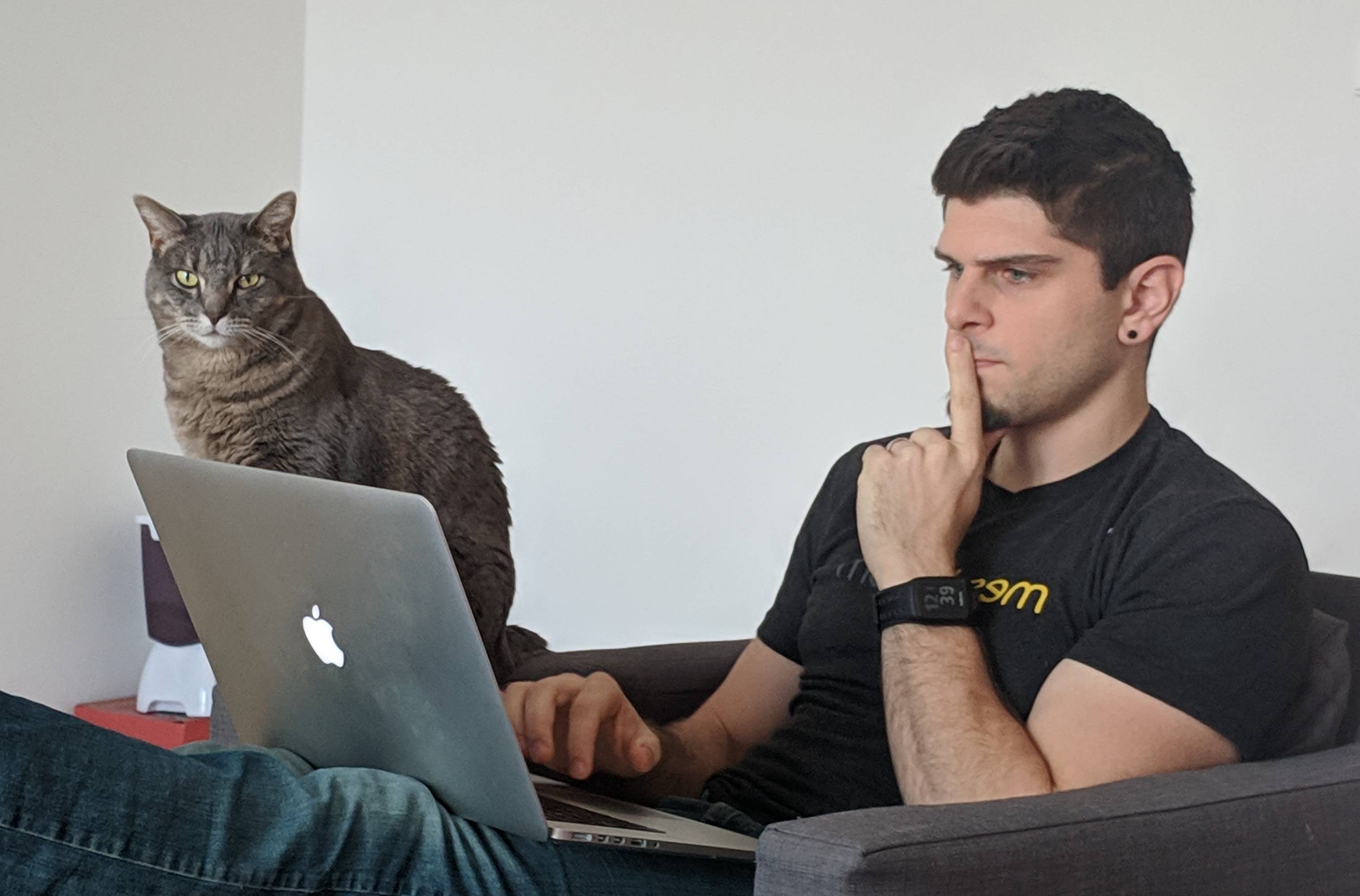 cat-doing-code-review