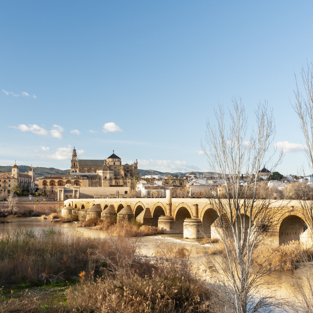 Córdoba skyline