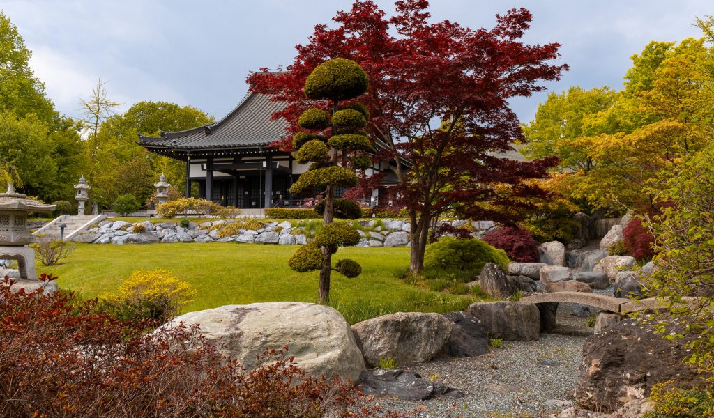 Dusseldorf, Germany – May 2021: Japanese Garden and houses with living space in Dusseldorf. Germany remains one of the most culturally divers countries in Europe.
