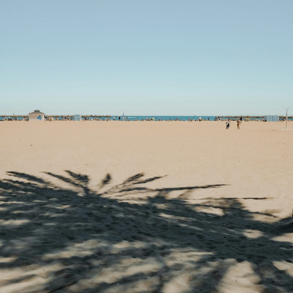 nuki-chikhladze-moC83zgAcrE-unsplash